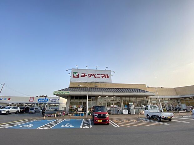 ヨークベニマル 八郷店(5000m)