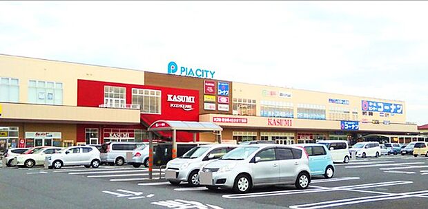 ピアシティ柏中新宿店 (カスミ、マツモトキヨシ、コーナン、ダイソー)(700m)