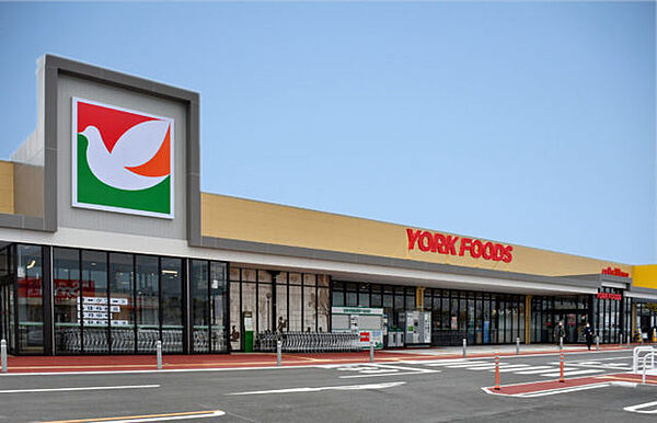 ヨークフーズ　柏の葉公園店（800m）