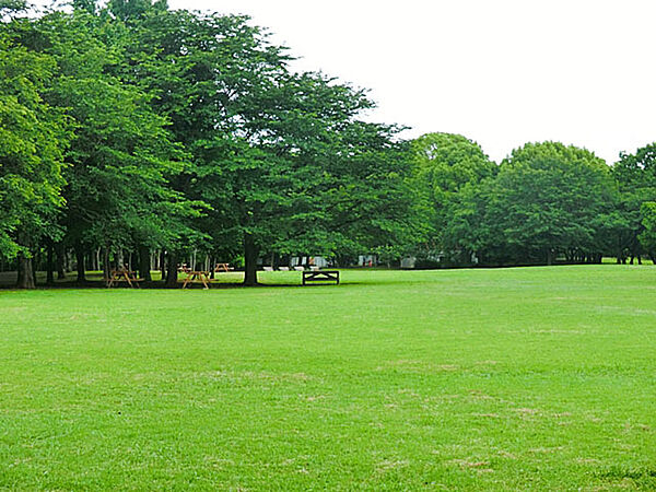 県立柏の葉公園（1100m）