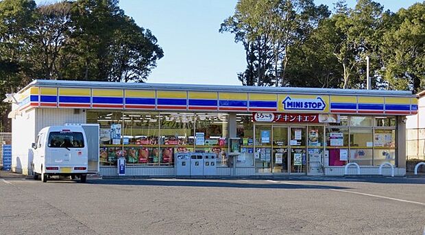 ミニストップ 柏増尾店(500m)