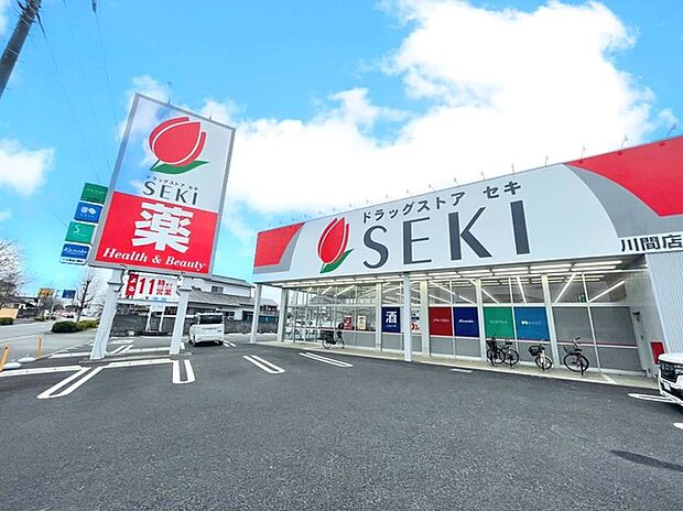 ドラッグストアセキ 川間店(700m)
