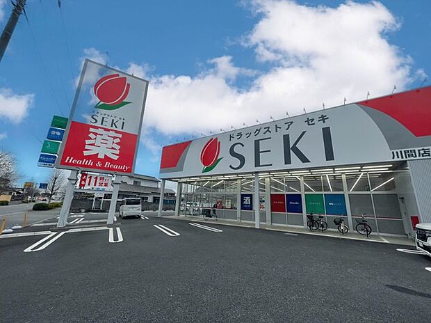 ドラッグストアセキ川間店(700m)