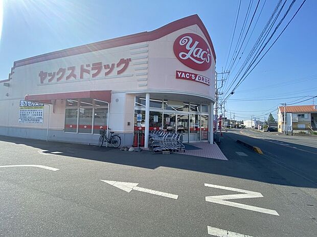 ヤックスドラッグ 阿見店(1700m)