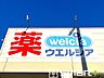 周辺：ウエルシア松戸六高台店（290m）