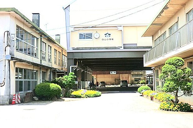 白山小学校(800m)