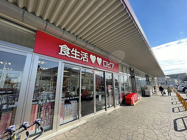 ロピア　アクロスプラザ流山店（700m）
