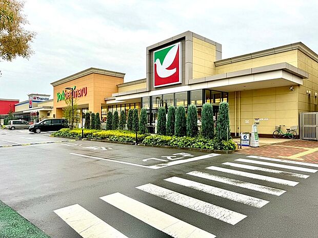 ヨークベニマル 石岡西店(510m)