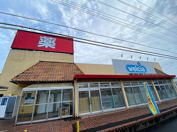 ウエルシア 石岡杉並店(250m)