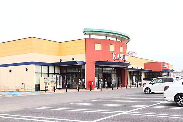 カスミ谷井田店(700m)