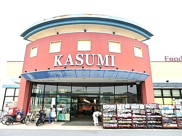 カスミ 谷井田店(700m)