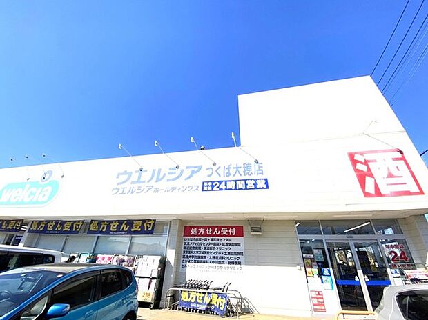 ウエルシアつくば大穂店(1000m)