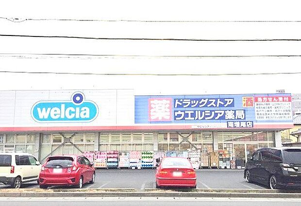 ウエルシア南増尾店(850m)