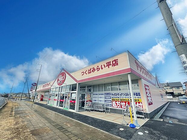 ヤックスドラッグ つくばみらい平店(450m)