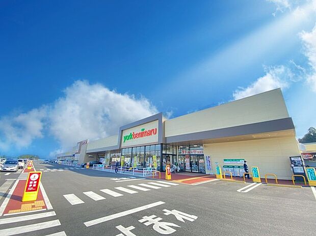さくらの杜ショッピングセンター （つくば市）（5300m）