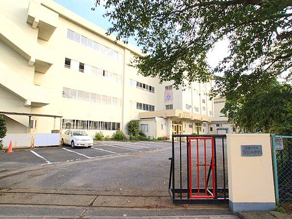 布佐小学校（1100m）
