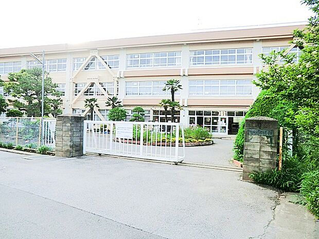 柏第七小学校(1800m)