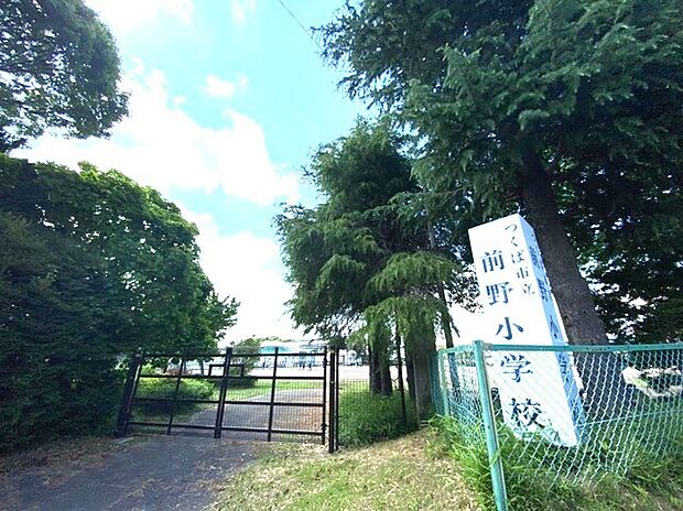 前野小学校(1100m)