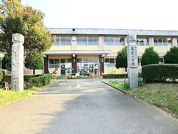 栗原小学校（400m）