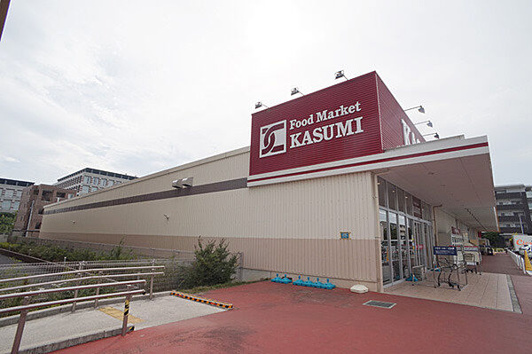 カスミ柏たなか駅前店（450m）