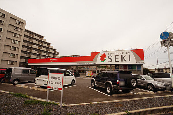ドラッグストアセキ柏たなか店（350m）