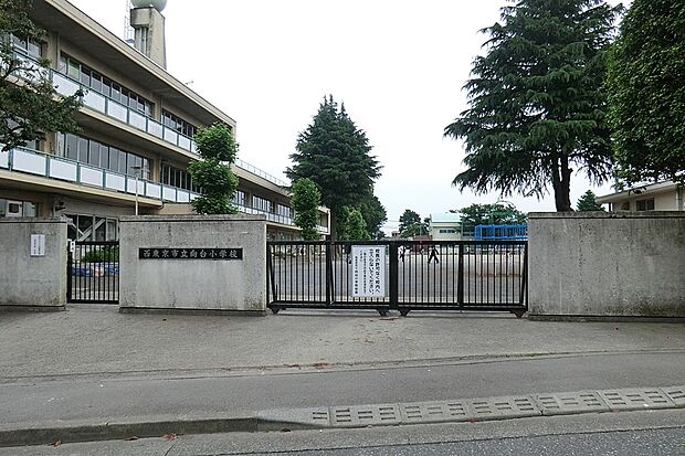 小学校 500m 西東京市立向台小学校
