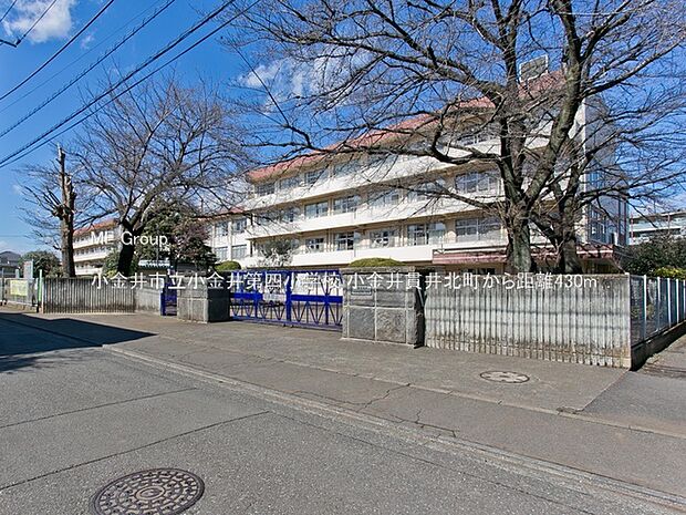 小学校 430m 小金井市立小金井第四小学校
