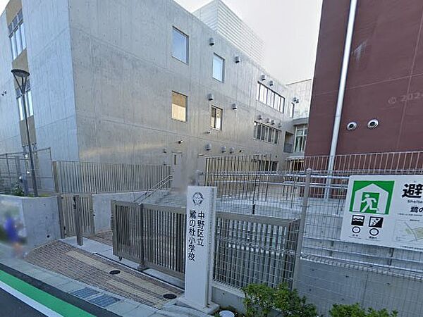 小学校 300m 中野区立鷺の杜小学校