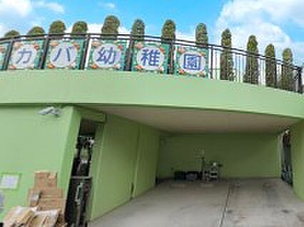 幼稚園・保育園 200m ワカバ幼稚園