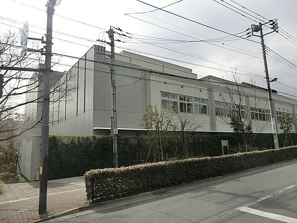 中学校 20m 杉並区立井草中学校