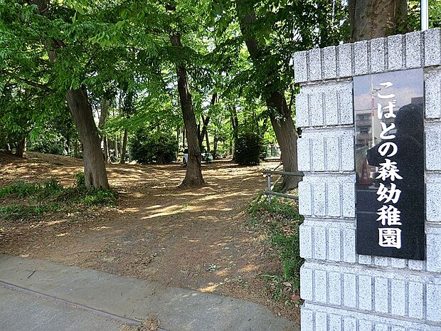 幼稚園・保育園 1200m こばとの森幼稚園