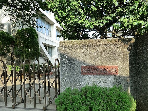 小学校 700m 練馬区立豊玉東小学校