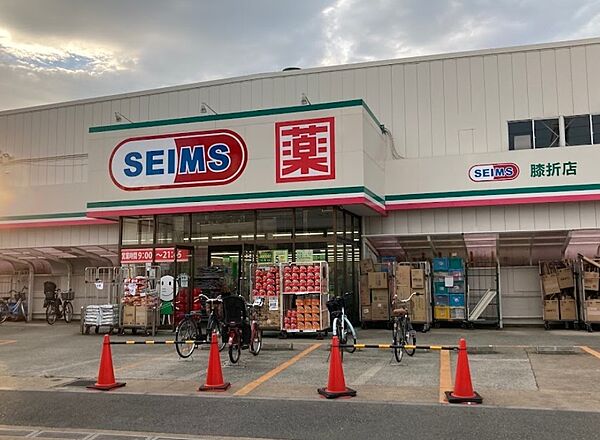 ドラッグストア 600m ドラッグセイムス 膝折店