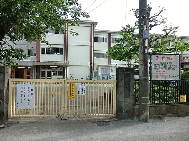 小学校 170m 小金井市立前原小学校
