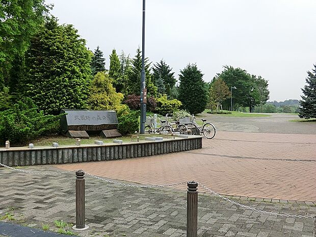公園 300m 武蔵野の森公園