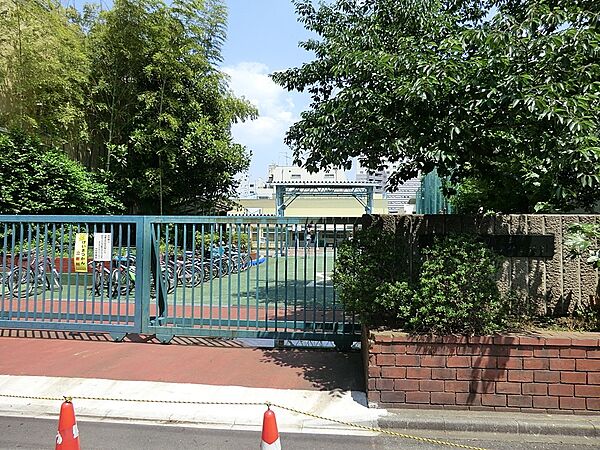小学校 600m 新宿区立大久保小学校