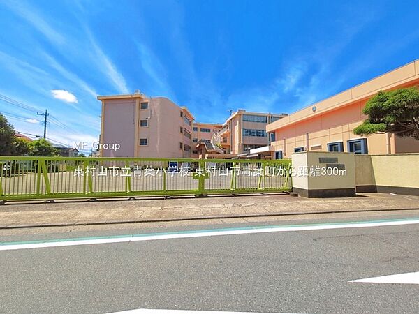 小学校 300m 東村山市立青葉小学校