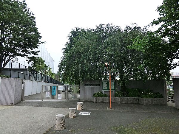 中学校 220m 練馬区立大泉学園桜中学校