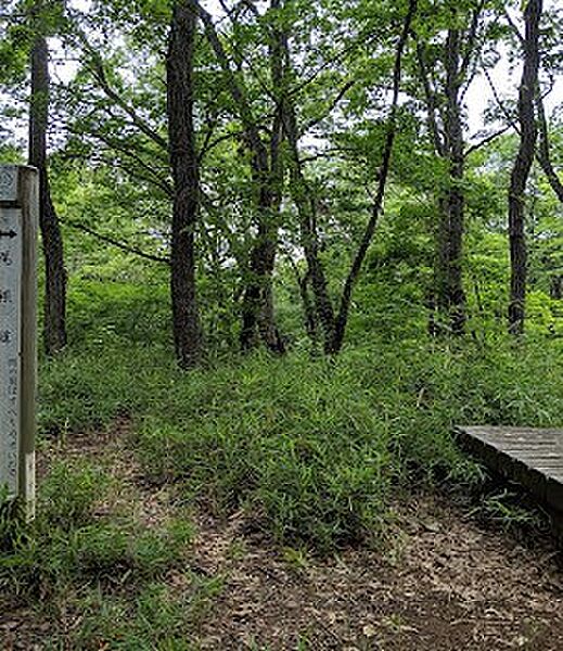 公園 1500m 八国山緑地