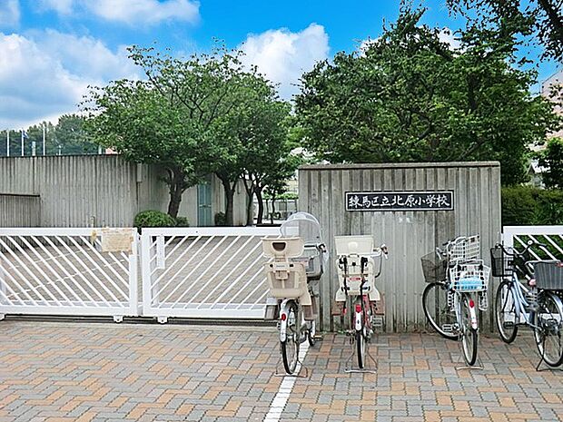 小学校 240m 練馬区立北原小学校