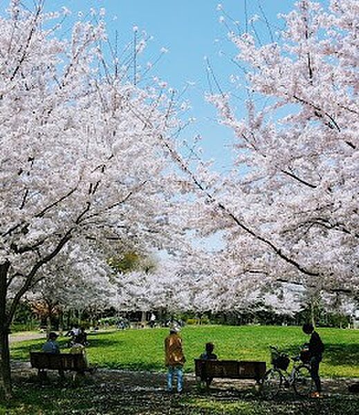 公園 900m 萩山四季の森公園