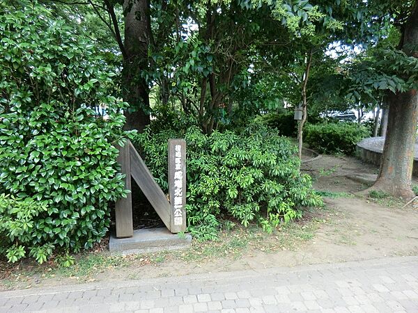公園 150m 成増北第一公園
