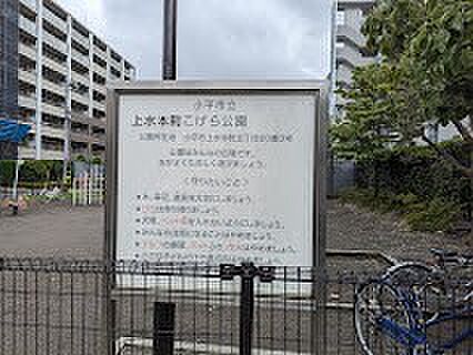 公園 62m 上水本町こげら公園