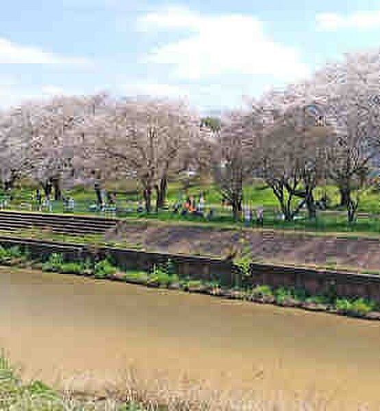 公園 1200m 台田運動公園