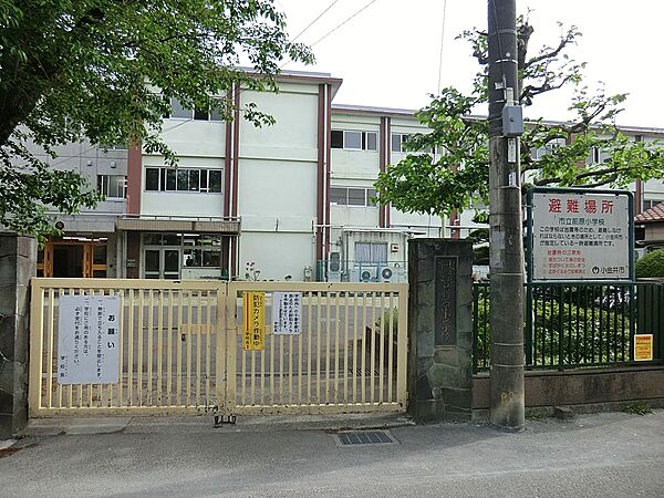 小学校 700m 小金井市立前原小学校