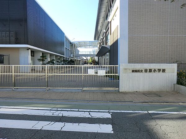 小学校 210m 練馬区立谷原小学校