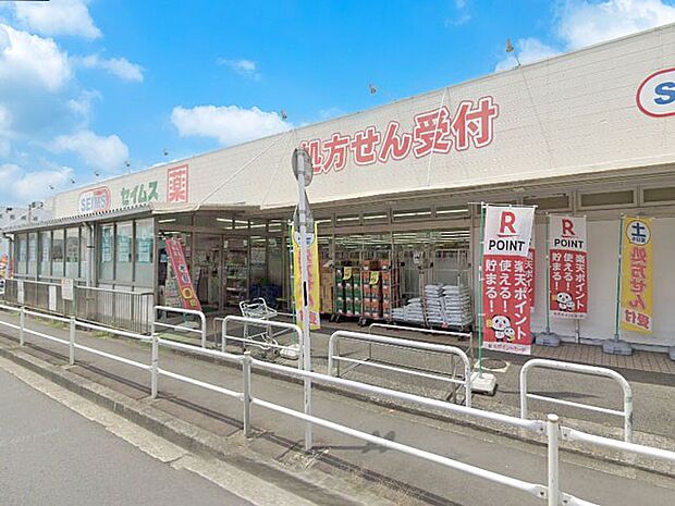 ドラッグストア 500m ドラッグセイムス小平東店