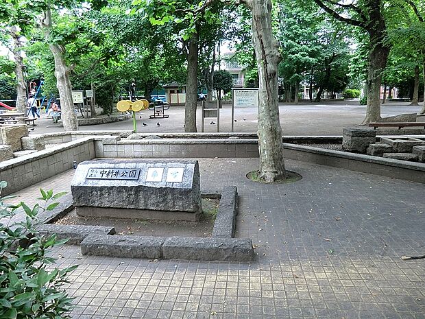 公園 56m 中新井公園
