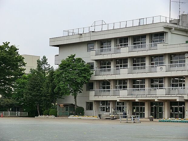 小学校 300m 所沢市立中央小学校