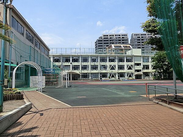 小学校 1000m 新宿区立柏木小学校